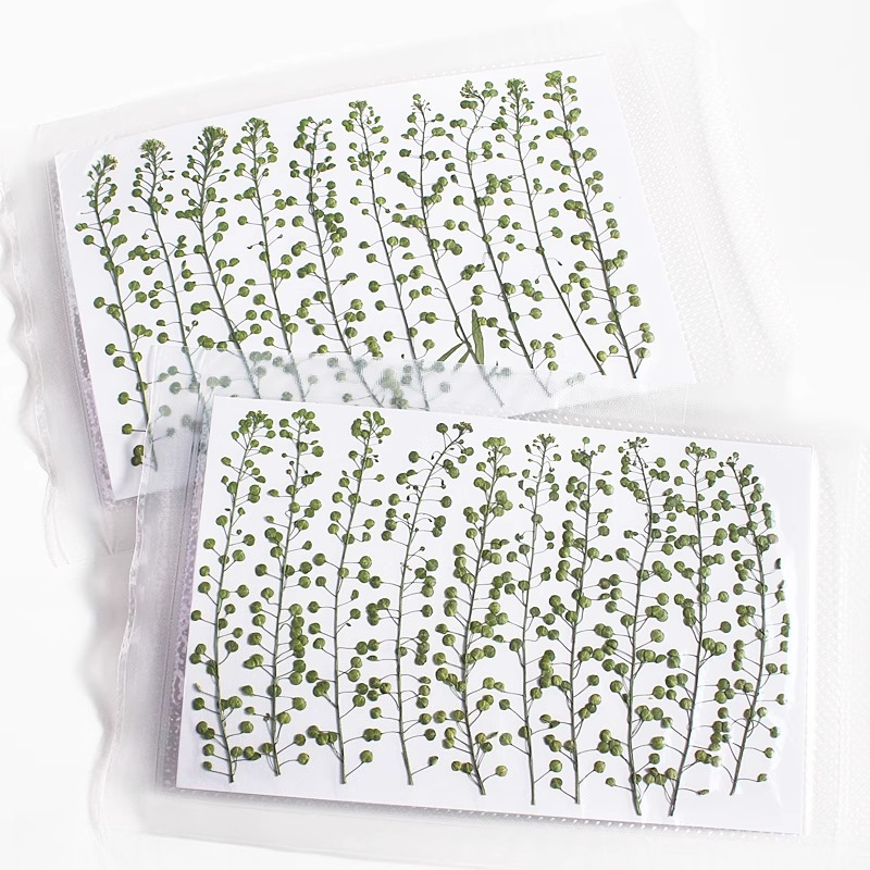Natural Color Green Bell Grass - đánh giá và giá Resin Art For Photo Frame