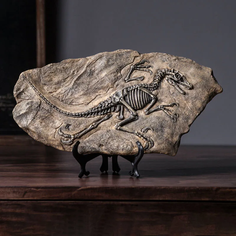 Simulated Dinosaur Fossil Mode - đánh giá và giá Resin Art Decoration Items