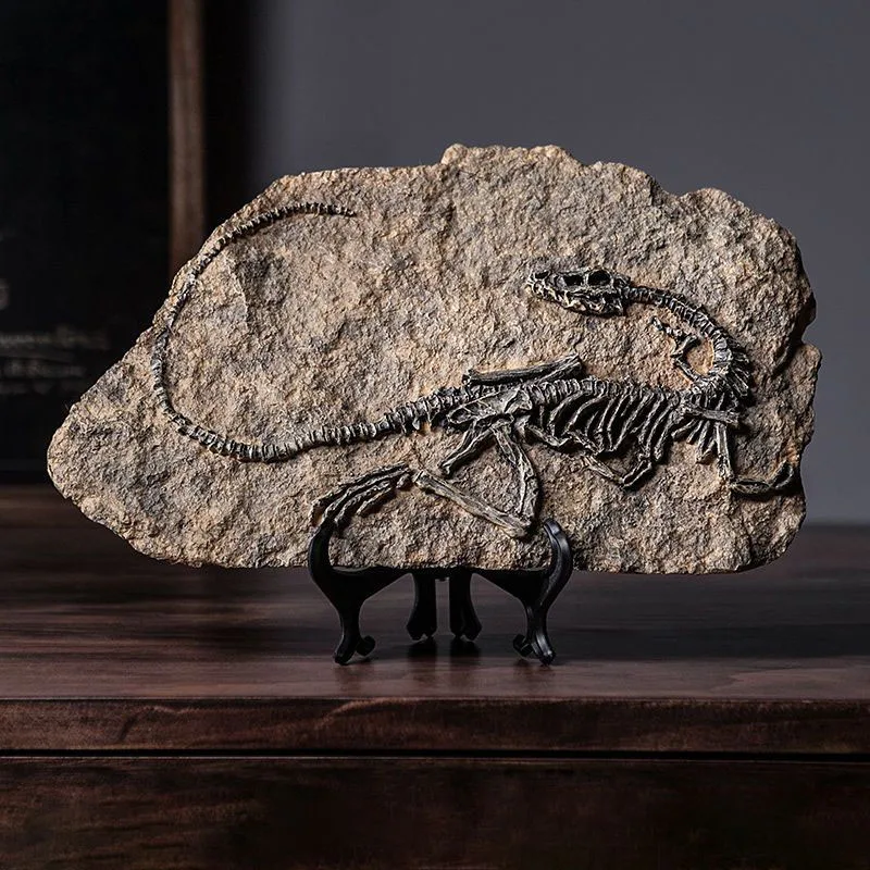 Simulated Dinosaur Fossil Mode - đánh giá và giá Resin Art Decoration Items