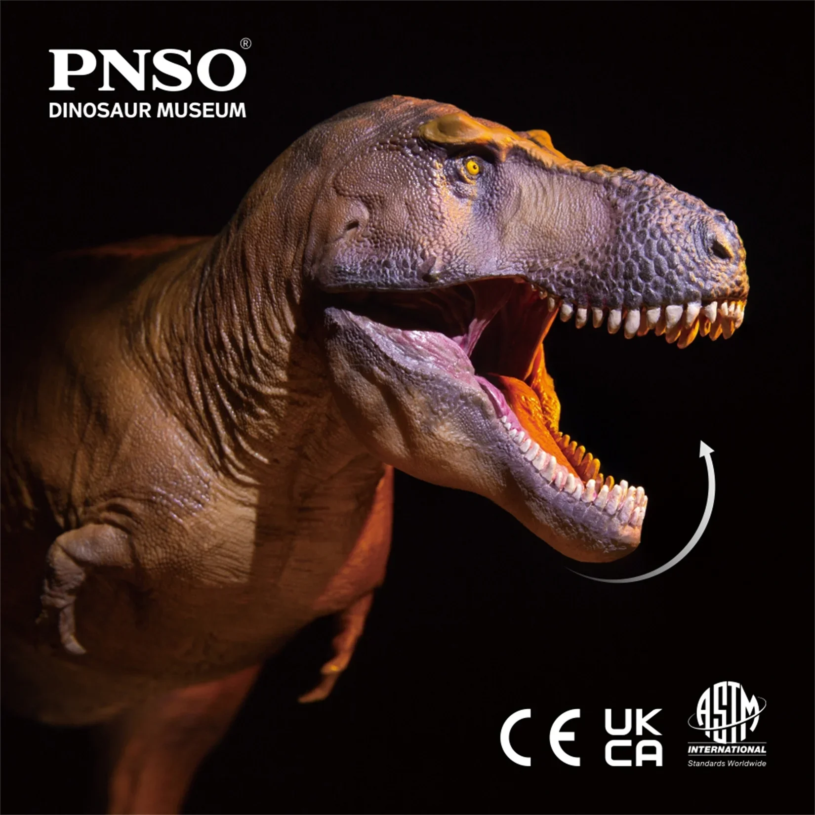 PNSO 1/35 Tyrannosaurus Rex Ca - đánh giá và giá Resin Art Decoration Items