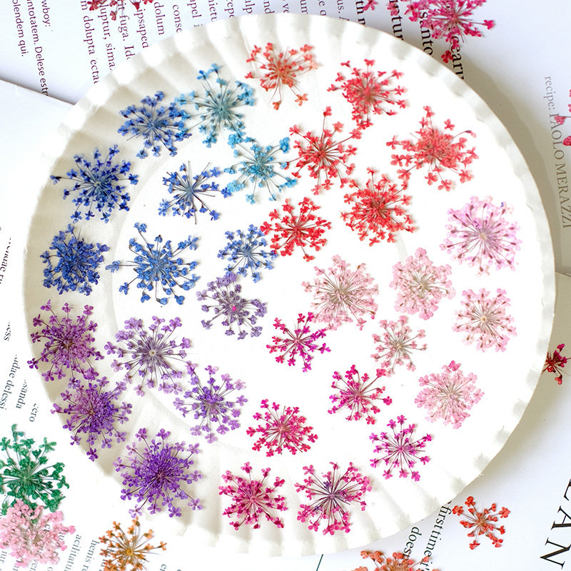 24pcs, 2-2.5cm, Nature Dyed Mi - đánh giá và giá Resin Art For Photo Frame