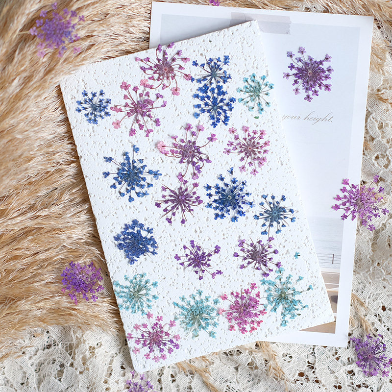 24pcs, 2-2.5cm, Nature Dyed Mi - đánh giá và giá Resin Art For Photo Frame