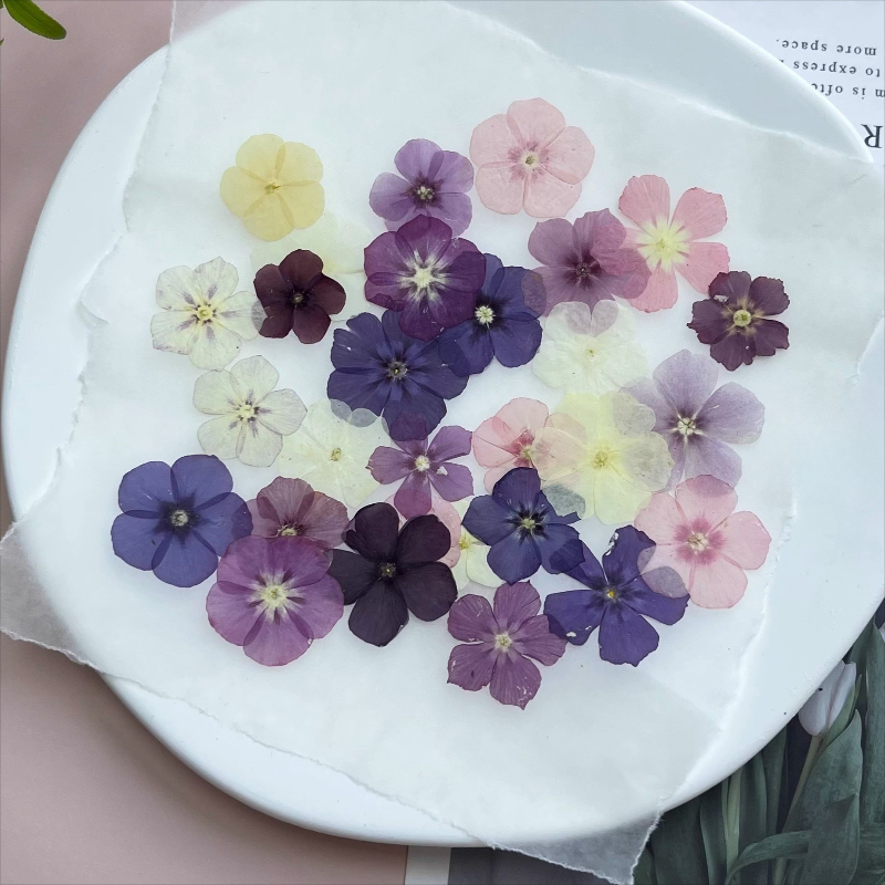 12pcs,Semi-Transparent Niche P - đánh giá và giá Resin Art For Photo Frame