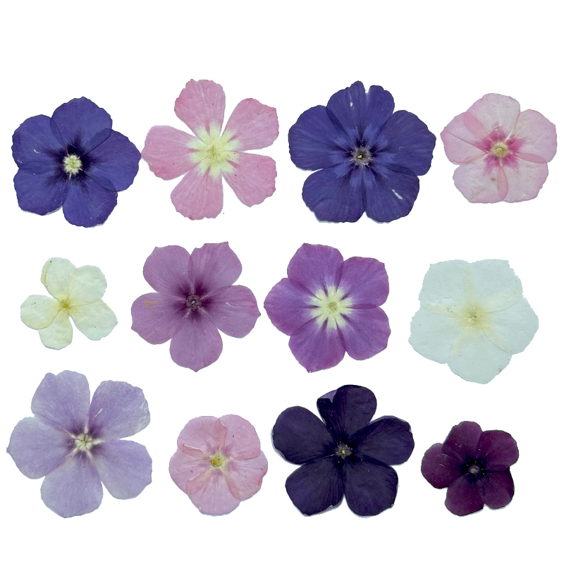 12pcs,Semi-Transparent Niche P - đánh giá và giá Resin Art For Photo Frame